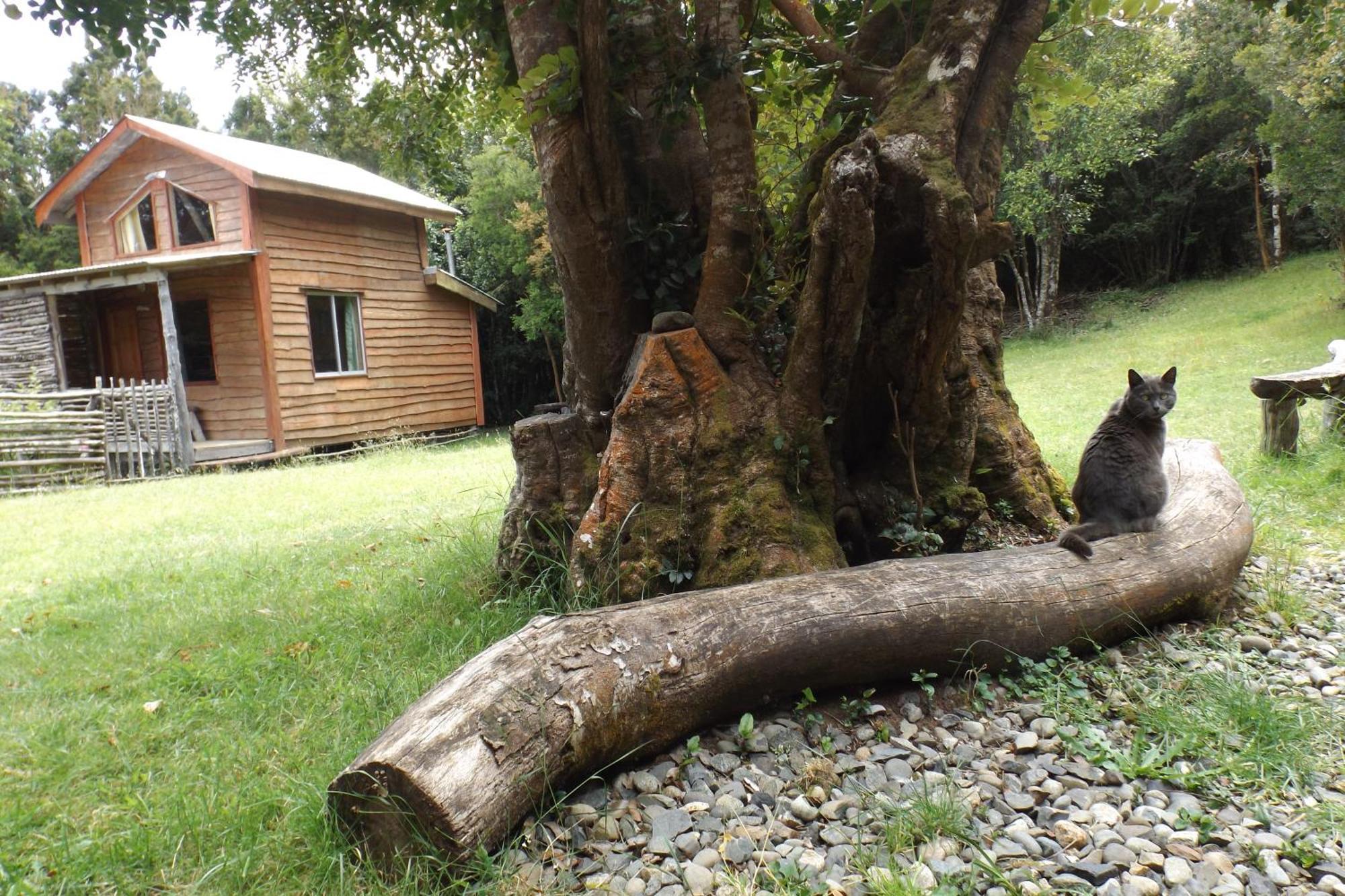 Karukinka Pension Chonchi Buitenkant foto